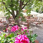 酒店 Linde 金茨堡